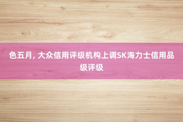 色五月， 大众信用评级机构上调SK海力士信用品级评级