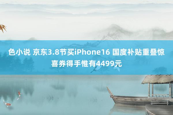 色小说 京东3.8节买iPhone16 国度补贴重叠惊喜券得手惟有4499元
