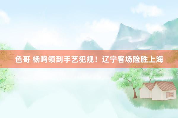 色哥 杨鸣领到手艺犯规！辽宁客场险胜上海