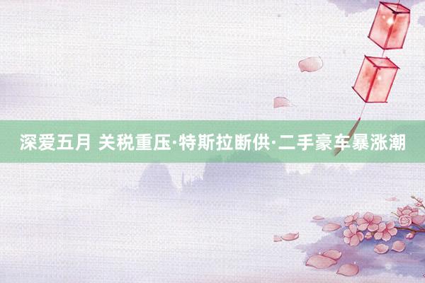 深爱五月 关税重压·特斯拉断供·二手豪车暴涨潮