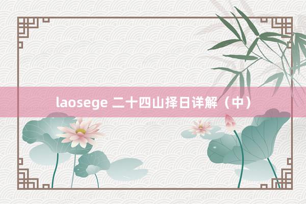 laosege 二十四山择日详解（中）