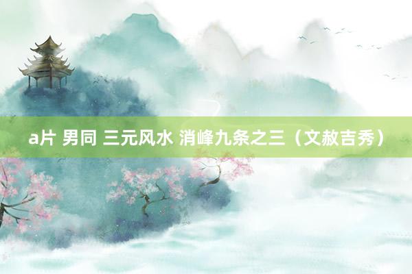 a片 男同 三元风水 消峰九条之三（文赦吉秀）