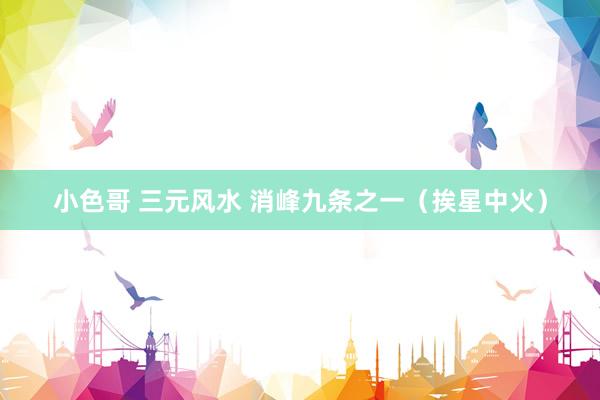 小色哥 三元风水 消峰九条之一(挨星中火)
