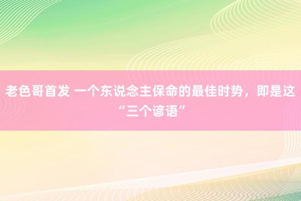 老色哥首发 一个东说念主保命的最佳时势，即是这“三个谚语”