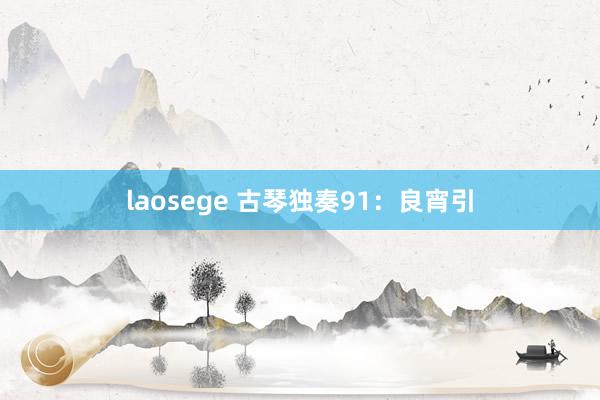 laosege 古琴独奏91：良宵引