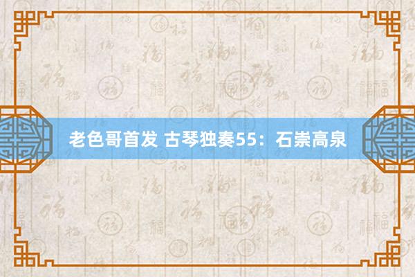 老色哥首发 古琴独奏55：石崇高泉