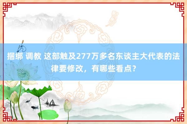 捆绑 调教 这部触及277万多名东谈主大代表的法律要修改，有哪些看点？
