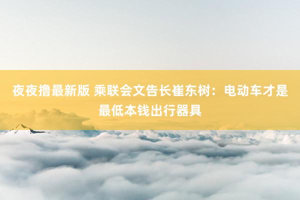夜夜撸最新版 乘联会文告长崔东树：电动车才是最低本钱出行器具